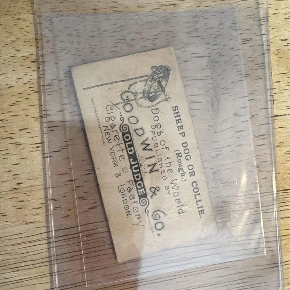 N163 Goodwin Dogs of the World - Old Judge Tobacco Card - Sheep Dog or Collie